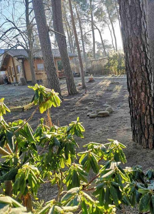 Königs Wusterhausen Haus Clemens - Gemuetliches Holzhaus Mit Grundstueckヴィラ エクステリア 写真