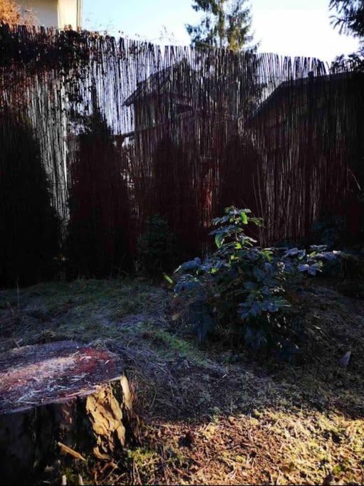 Königs Wusterhausen Haus Clemens - Gemuetliches Holzhaus Mit Grundstueckヴィラ エクステリア 写真