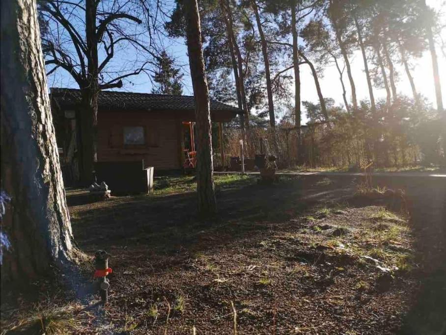 Königs Wusterhausen Haus Clemens - Gemuetliches Holzhaus Mit Grundstueckヴィラ エクステリア 写真