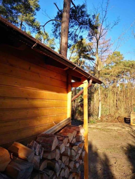 Königs Wusterhausen Haus Clemens - Gemuetliches Holzhaus Mit Grundstueckヴィラ エクステリア 写真